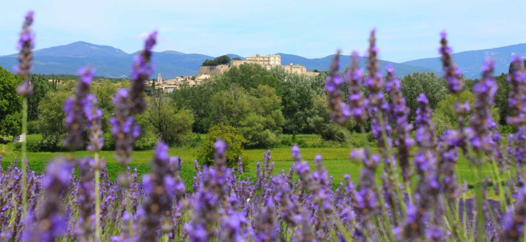 Vacances Famille Camping Grignan