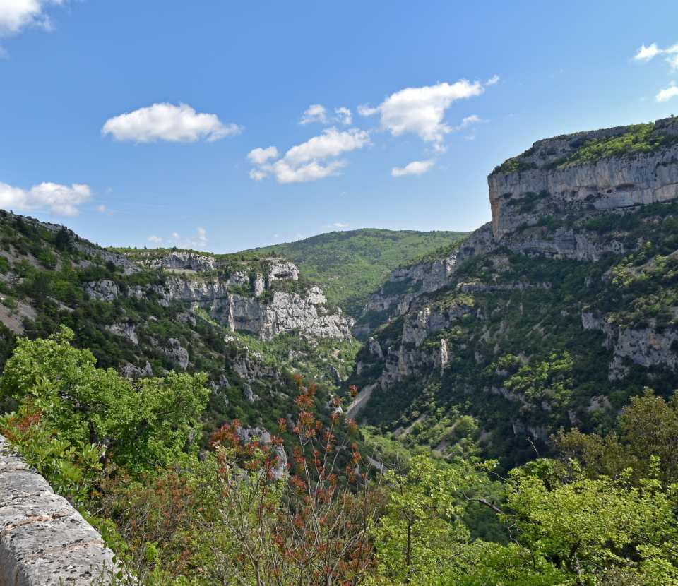 Gorges De La Nesque