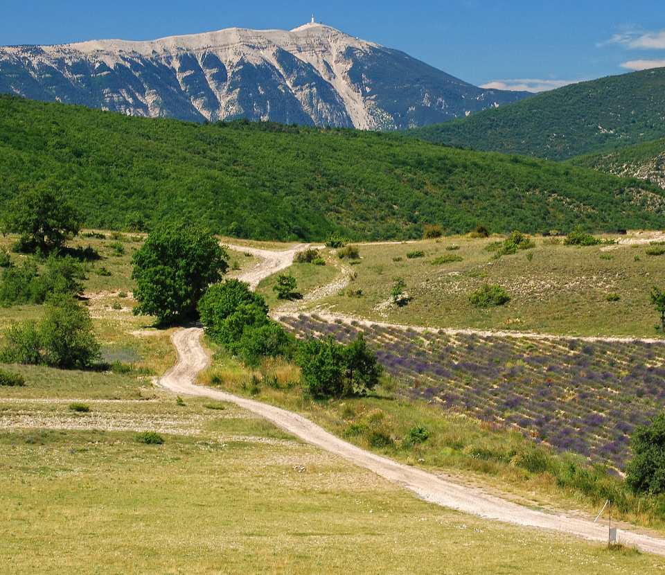 Randonnee Mont Ventoux