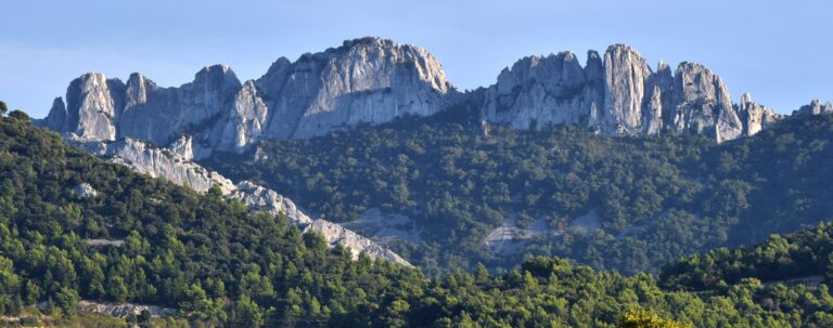 Dentelles De Montmirail