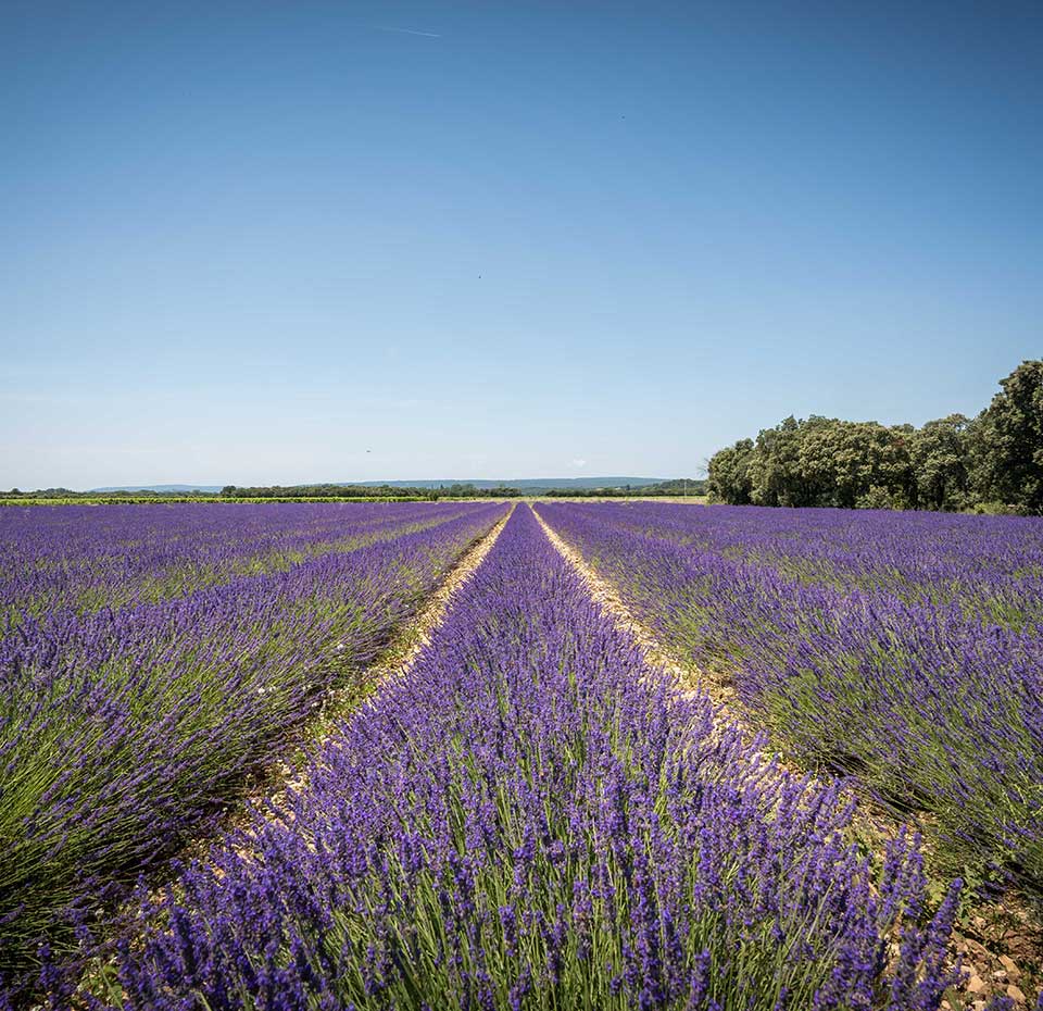 Camping Drome Provencale