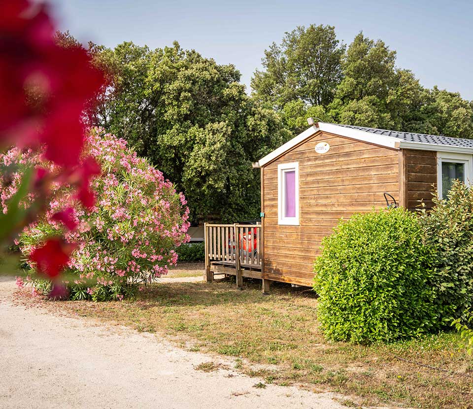 Camping Drome Provencale