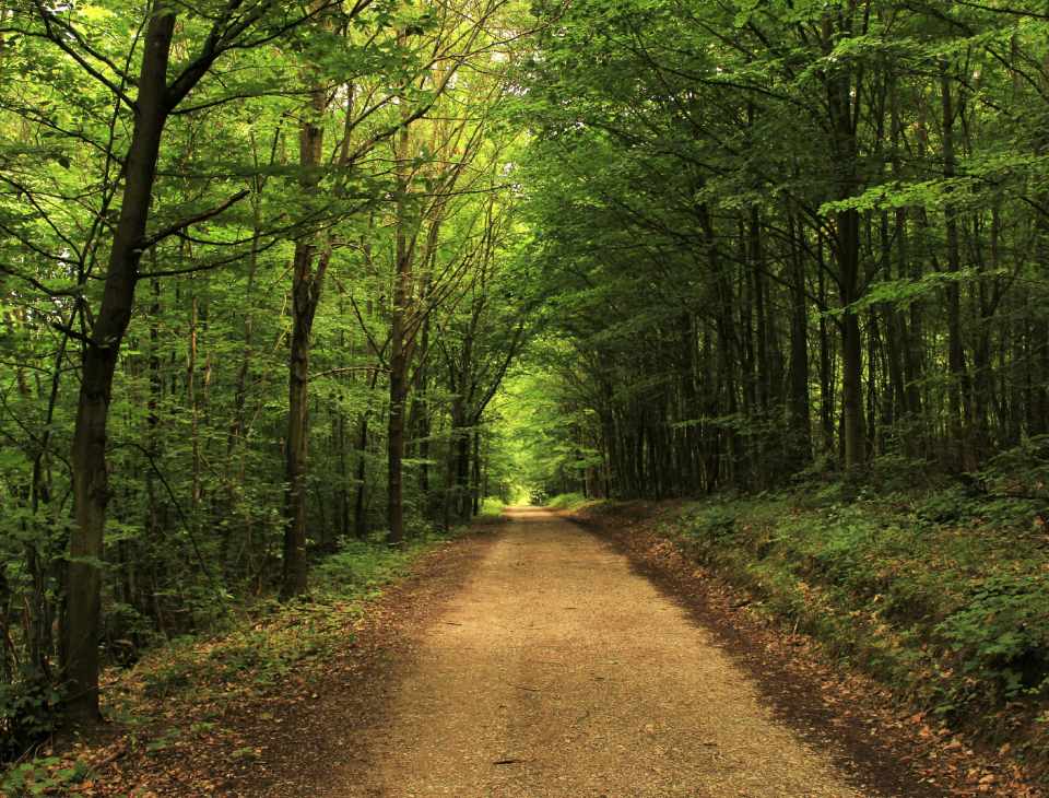 Sentier Des Adhemar